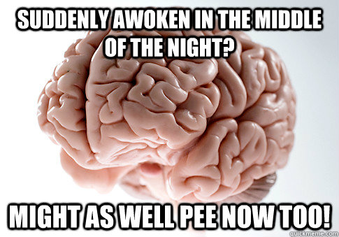 Suddenly awoken in the middle of the night? Might as well pee now too!  Scumbag Brain