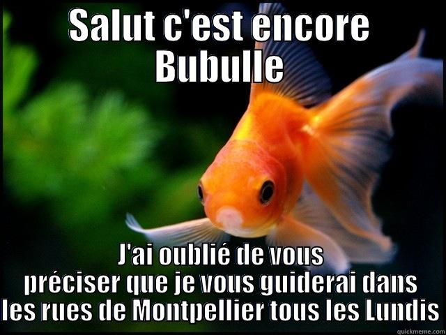 Bubulle le retour - SALUT C'EST ENCORE BUBULLE J'AI OUBLIÉ DE VOUS PRÉCISER QUE JE VOUS GUIDERAI DANS LES RUES DE MONTPELLIER TOUS LES LUNDIS Misc