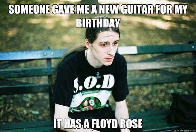 Someone gave me a new guitar for my birthday it has a floyd rose  First World Metal Problems