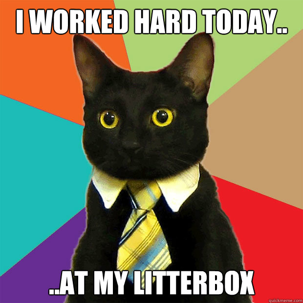 I worked hard today.. ..at my litterbox  Business Cat