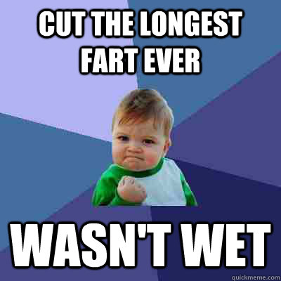 Cut the longest fart ever wasn't wet - Cut the longest fart ever wasn't wet  Success Kid