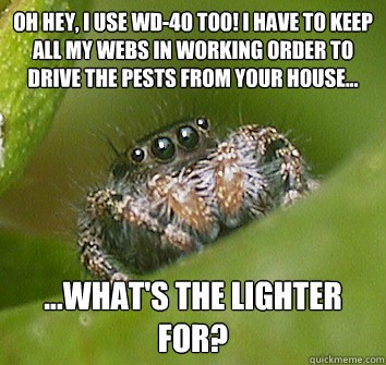 Oh hey, I use WD-40 too! I have to keep all my webs in working order to drive the pests from your house... ...What's the lighter for? - Oh hey, I use WD-40 too! I have to keep all my webs in working order to drive the pests from your house... ...What's the lighter for?  Misunderstood Spider