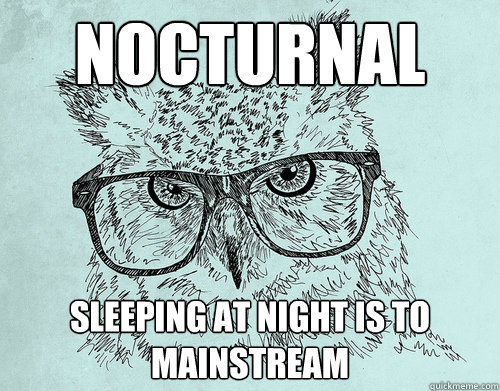 Nocturnal Sleeping at night is to Mainstream - Nocturnal Sleeping at night is to Mainstream  Hipster Owl 2