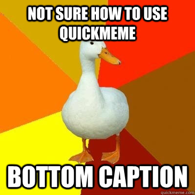 not sure how to use quickmeme bottom caption  Tech Impaired Duck