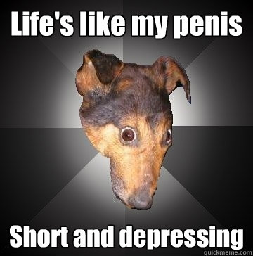 Life's like my penis Short and depressing  Depression Dog