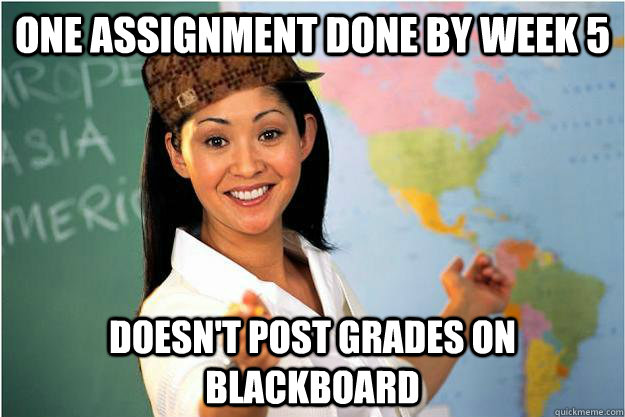 One Assignment done by week 5 Doesn't post grades on blackboard  Scumbag Teacher