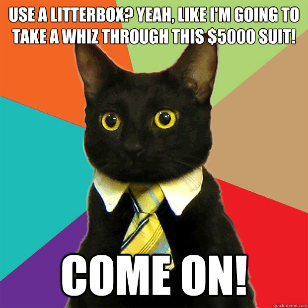 Use a litterbox? Yeah, like I'm going to take a whiz through this $5000 suit! COME ON! - Use a litterbox? Yeah, like I'm going to take a whiz through this $5000 suit! COME ON!  Business Cat