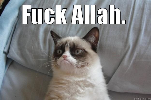 FUCK ALLAH.  Grumpy Cat