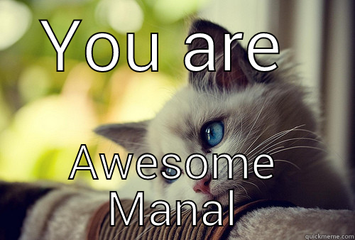 YOU ARE  AWESOME MANAL First World Problems Cat