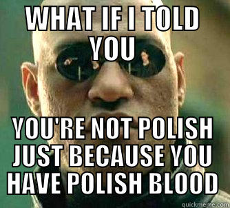 hello baby - WHAT IF I TOLD YOU YOU'RE NOT POLISH JUST BECAUSE YOU HAVE POLISH BLOOD Matrix Morpheus