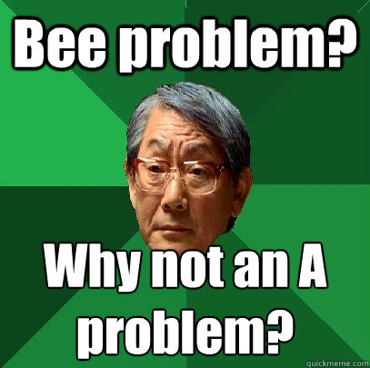 Bee problem? Why not an A problem?  High Expectations Asian Father