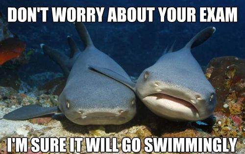 don't worry about your exam i'm sure it will go swimmingly  