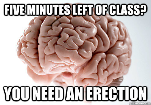 Five minutes left of class? You need an erection  Scumbag Brain