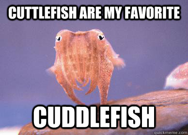 Cuttlefish are my favorite cuddlefish  