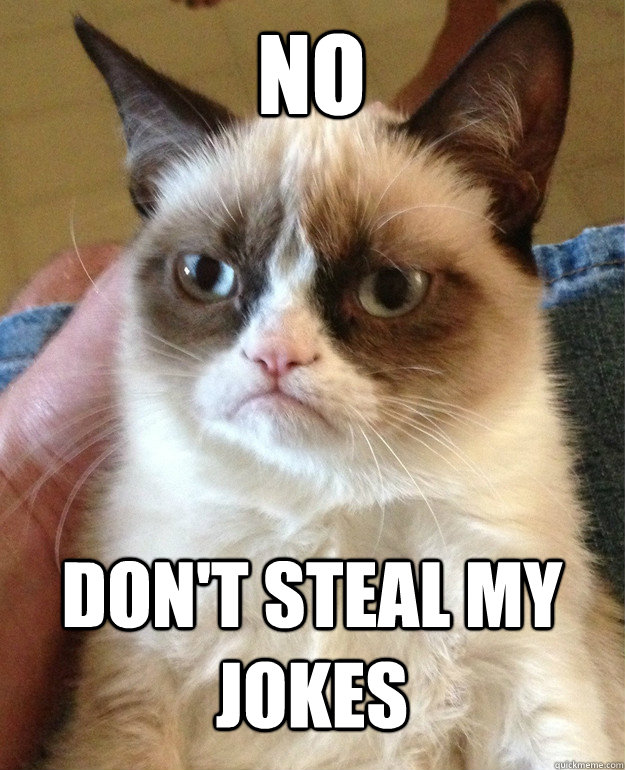 No don't steal my jokes  Grumpy Cat