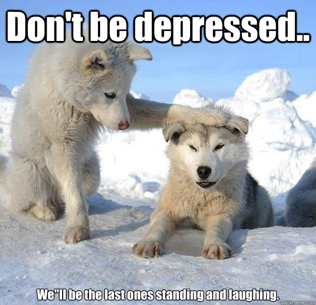 Don't be depressed.. We''ll be the last ones standing and laughing.  Caring Husky