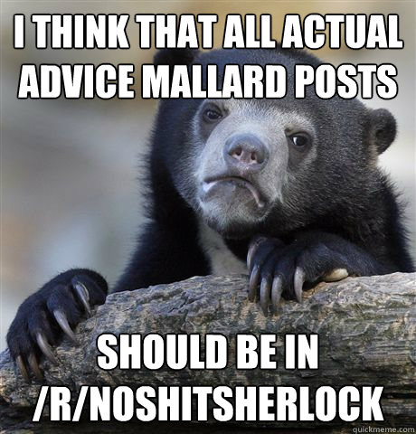 I think that all Actual Advice Mallard posts should be in /r/NoShitSherlock   Confession Bear