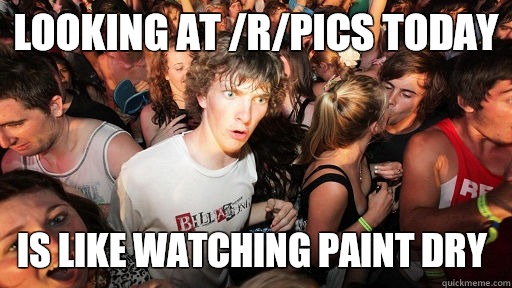 Looking at /r/pics today Is like watching paint dry   Sudden Clarity Clarence