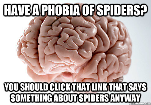 Have a phobia of spiders? You should click that link that says something about spiders anyway  Scumbag Brain