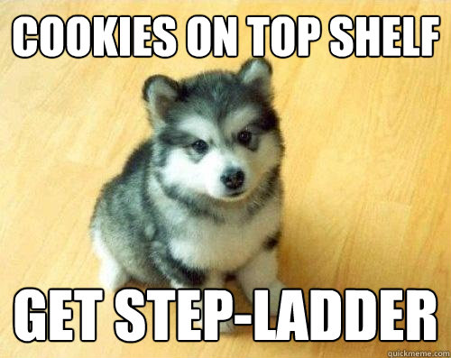 Cookies on top shelf get step-ladder  Baby Courage Wolf