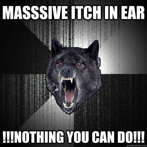 Masssive itch in ear !!!NOTHING YOU CAN DO!!!  Insanity Wolf