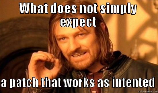 WHAT DOES NOT SIMPLY EXPECT  A PATCH THAT WORKS AS INTENTED Boromir