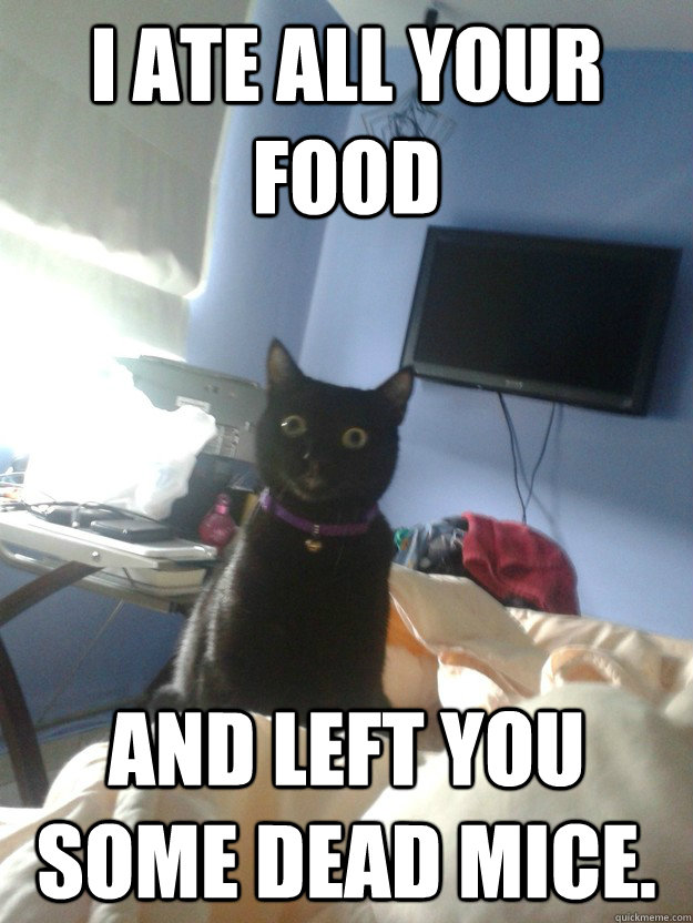 I ate all your food and left you some dead mice. - I ate all your food and left you some dead mice.  overly attached cat