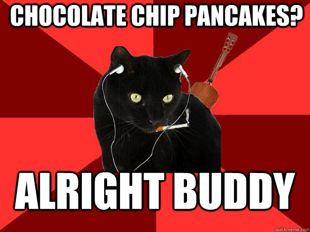 chocolate chip pancakes? alright buddy  Berklee Cat