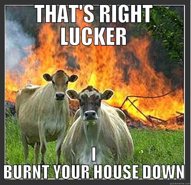 Still A Dick - THAT'S RIGHT LUCKER I BURNT YOUR HOUSE DOWN Evil cows