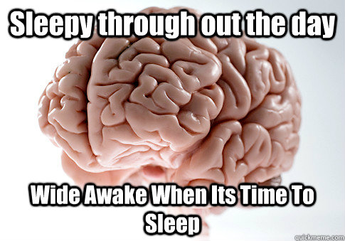 Sleepy through out the day Wide Awake When Its Time To Sleep   Scumbag Brain