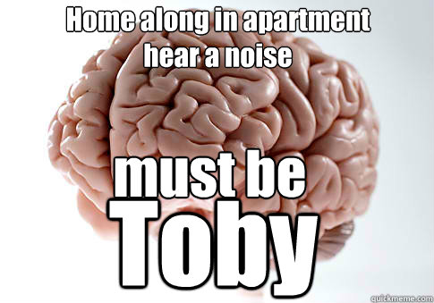 Home along in apartment
hear a noise must be Toby  Scumbag Brain