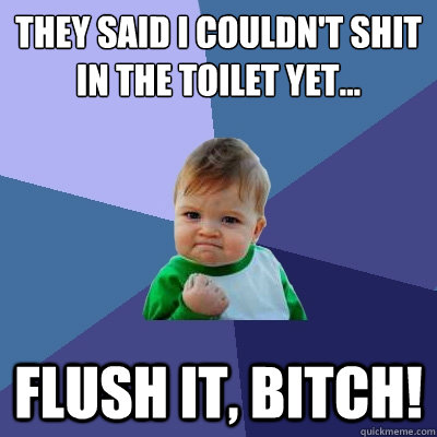 they said i couldn't shit in the toilet yet... flush it, bitch!  Success Kid