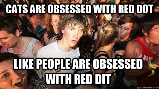 cats are obsessed with red dot like people are obsessed with red dit  Sudden Clarity Clarence