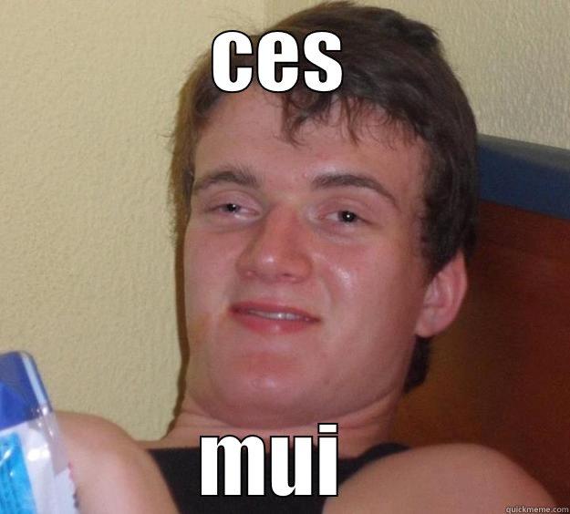 CES MUI  10 Guy