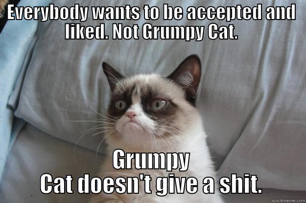 EVERYBODY WANTS TO BE ACCEPTED AND LIKED. NOT GRUMPY CAT. GRUMPY CAT DOESN'T GIVE A SHIT. Grumpy Cat