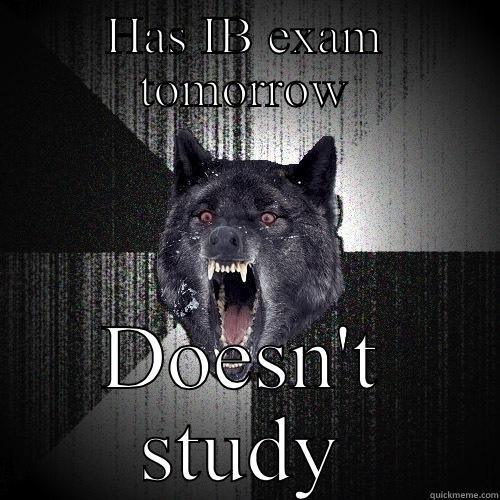 Insanity Baccalaureate  - HAS IB EXAM TOMORROW DOESN'T STUDY Insanity Wolf