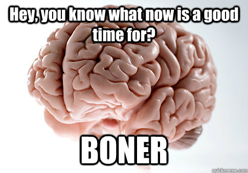 Hey, you know what now is a good time for? BONER - Hey, you know what now is a good time for? BONER  Scumbag Brain