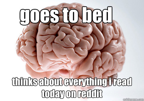 goes to bed thinks about everything i read today on reddit  Scumbag Brain