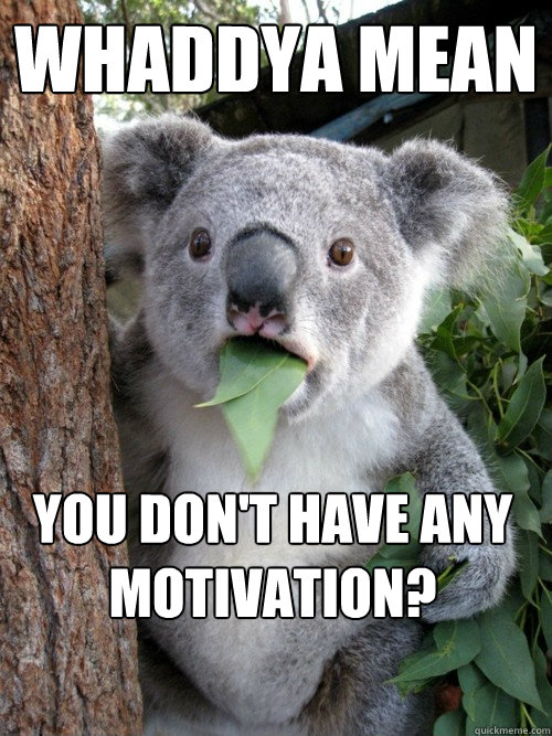 whaddya mean you don't have any motivation?  koala bear