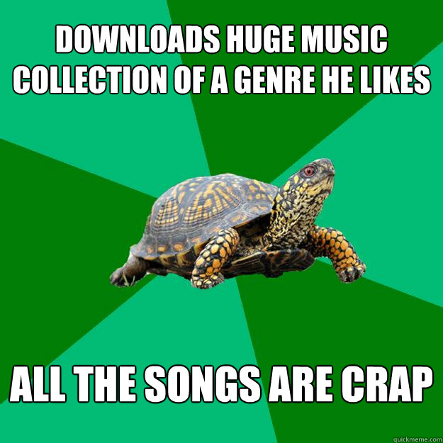 downloads huge music collection of a genre he likes all the songs are crap  Torrenting Turtle