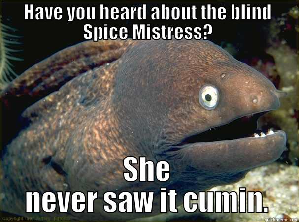 HAVE YOU HEARD ABOUT THE BLIND SPICE MISTRESS? SHE NEVER SAW IT CUMIN. Bad Joke Eel