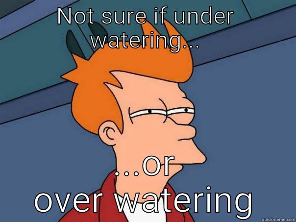 NOT SURE IF UNDER WATERING... ...OR OVER WATERING Futurama Fry