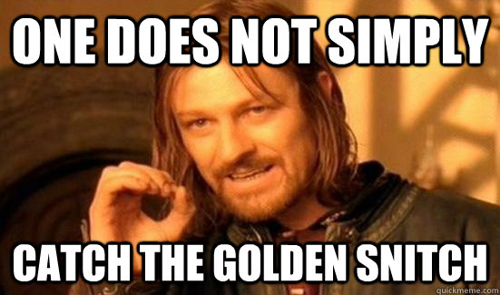 one does not simply catch the golden snitch  Boromir