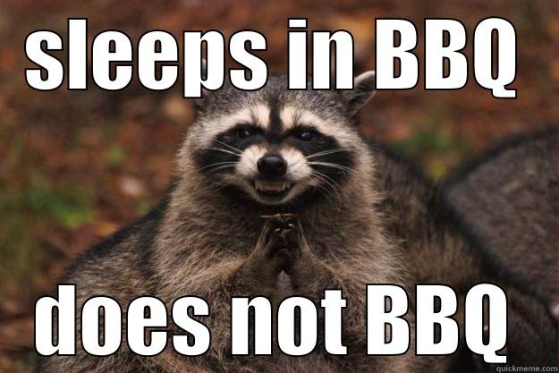 SLEEPS IN BBQ DOES NOT BBQ Evil Plotting Raccoon