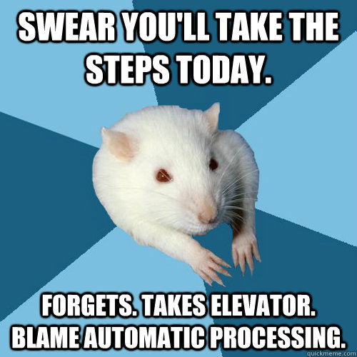 Swear you'll take the steps today. Forgets. Takes Elevator. Blame automatic processing.  Psychology Major Rat