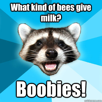 What kind of bees give milk? Boobies!  Lame Pun Coon