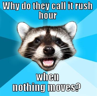 WHY DO THEY CALL IT RUSH HOUR WHEN NOTHING MOVES?  Lame Pun Coon