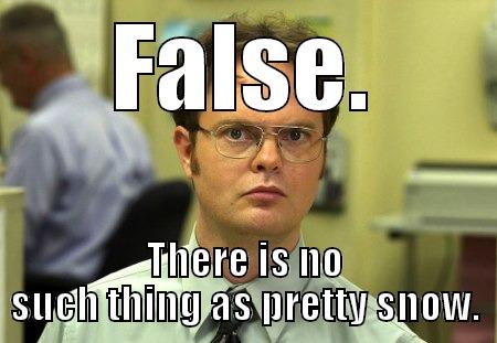 FALSE. THERE IS NO SUCH THING AS PRETTY SNOW. Schrute