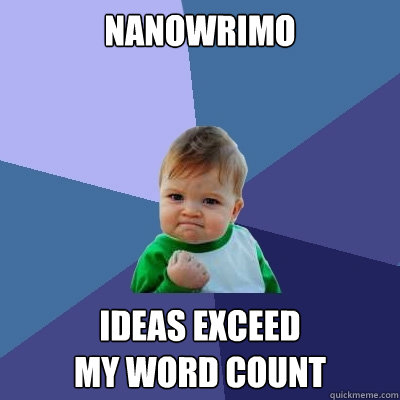 nanowrimo ideas exceed 
my word count  Success Kid