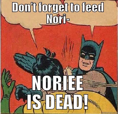 DON'T FORGET TO FEED NORI- NORIEE IS DEAD! Batman Slapping Robin